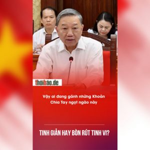 Tinh giản hay bòn rút tinh vi?
