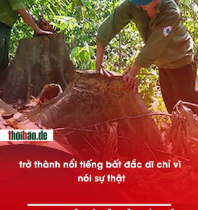 PHẠT 10 TRIỆU VÌ MỘT CÂU NÓI THẬT VỀ RỪNG QUANG HÓA
